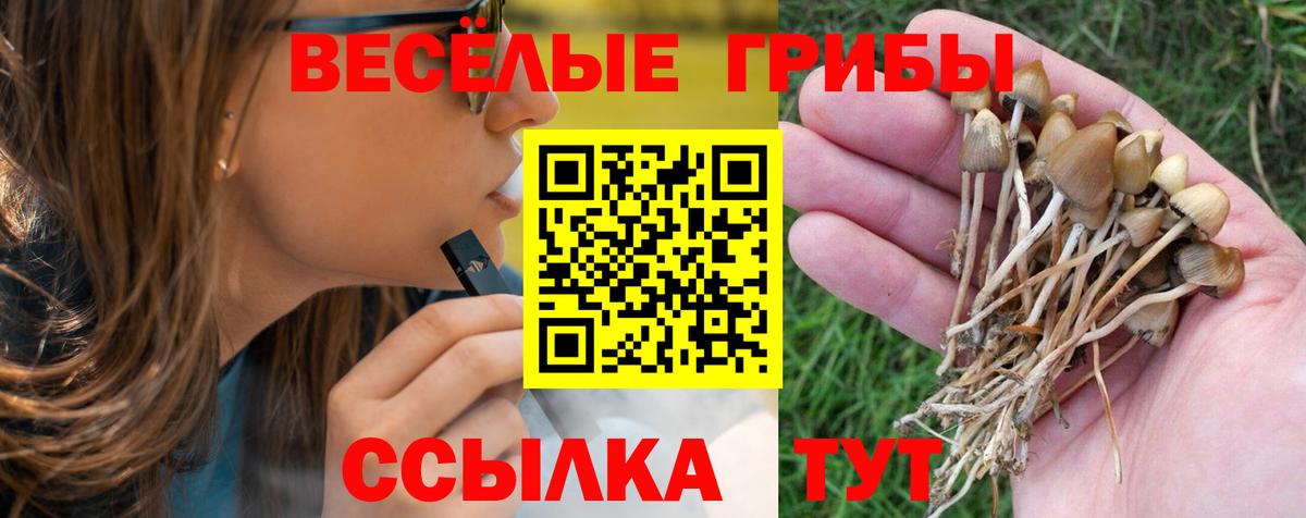 Галлюциногенные грибы Magic Shrooms Димитровград